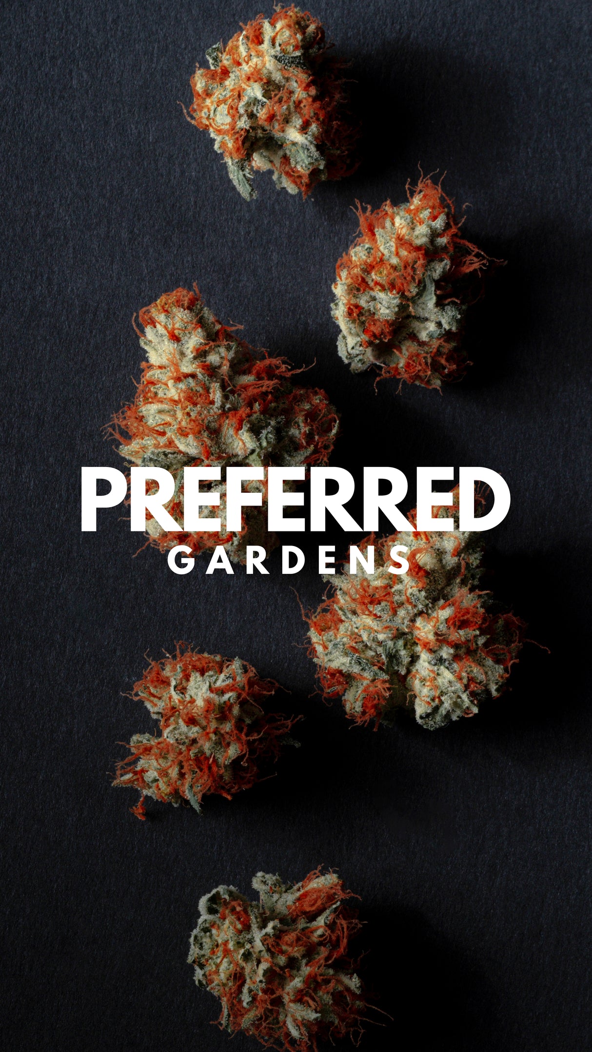 WALLPAPER 10 PACK *$0 Digital Download*