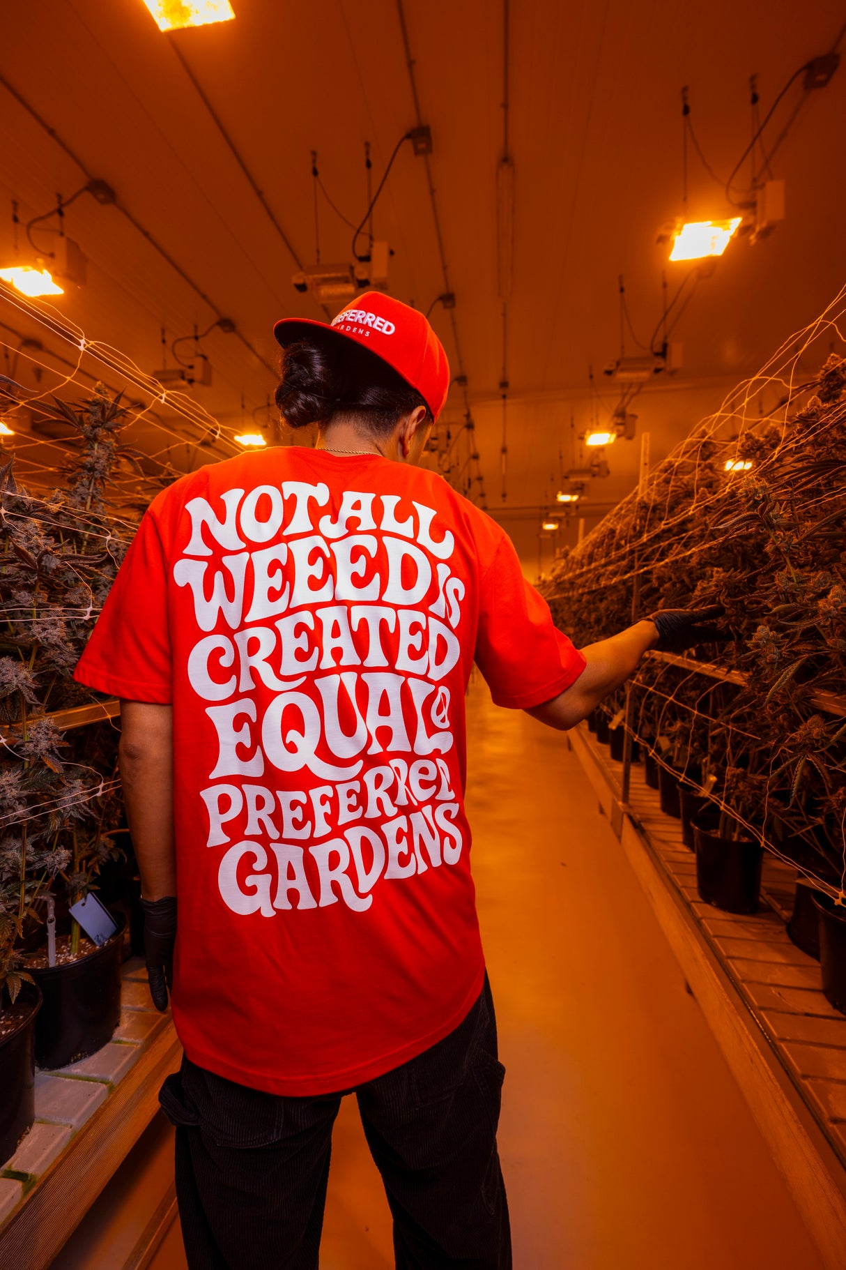 Not All Weed Is Created Equal T-Shirt
