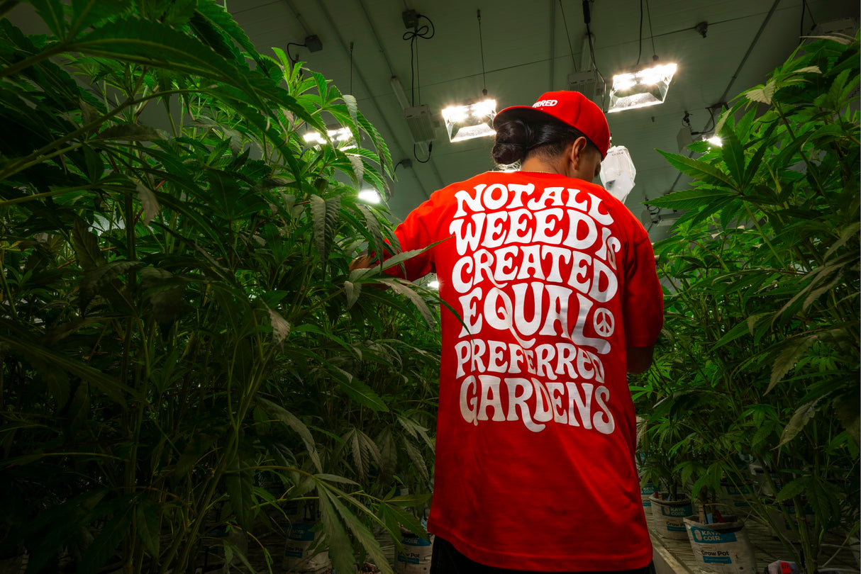 Not All Weed Is Created Equal T-Shirt