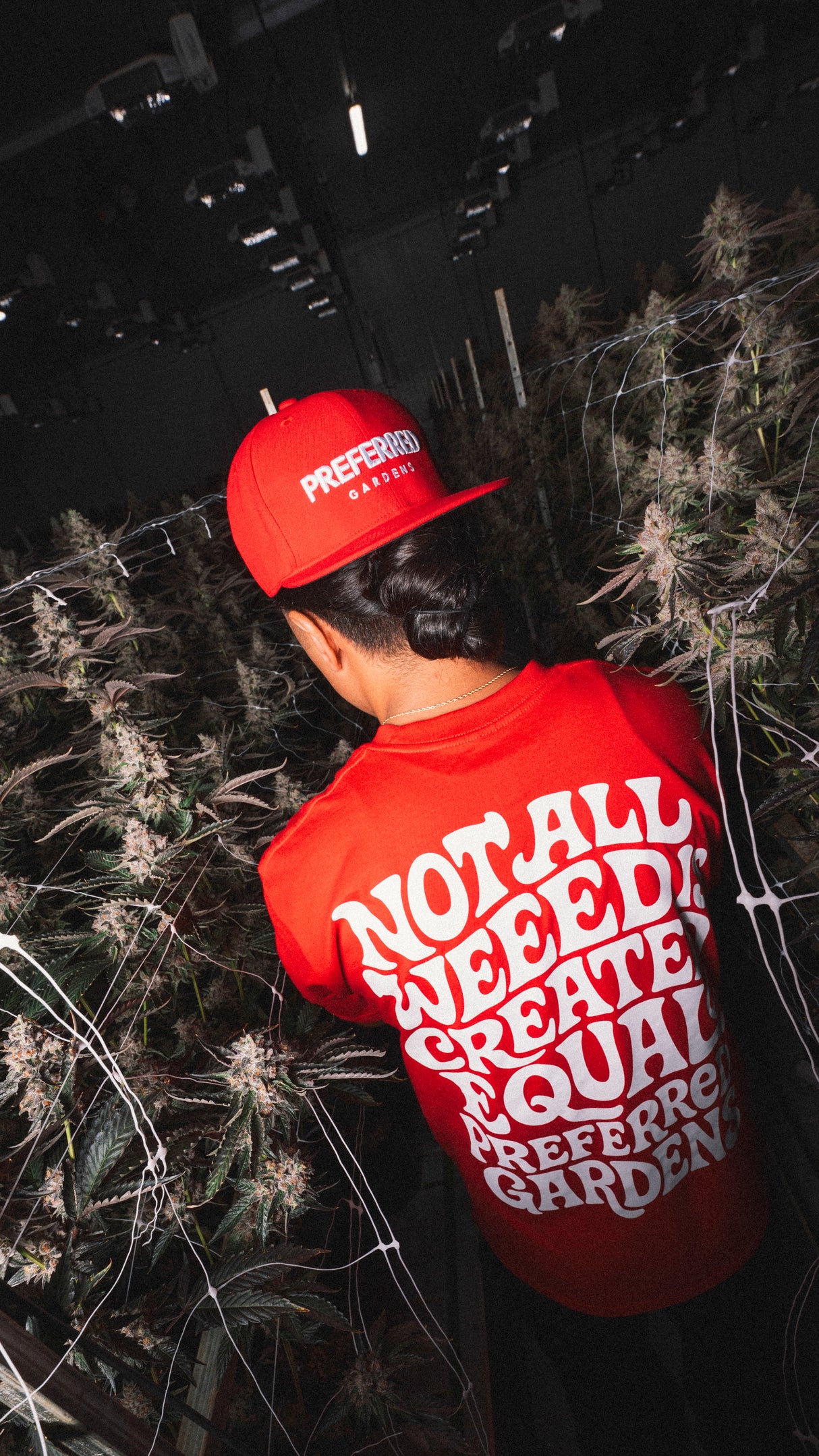 Not All Weed Is Created Equal T-Shirt